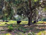 3030 Nursery Road - Photo 4