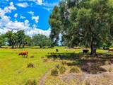 3030 Nursery Road - Photo 5