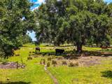 3030 Nursery Road - Photo 6