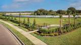 17805 Palmiste Drive - Photo 35