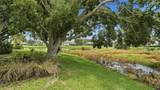 7117 Dornough Lane - Photo 31