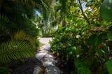 240 Gladiolus Street - Photo 7