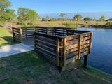16178 Trading Post Road - Photo 5