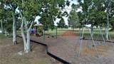 25450 Islas Drive - Photo 8