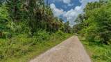  Swamp Lane - Photo 19