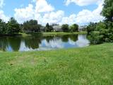 13335 Purple Finch Circle - Photo 46