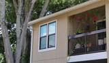 4001 Crockers Lake Boulevard - Photo 4