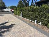 2505 Pine Street - Photo 3