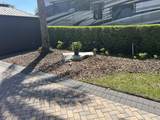 2505 Pine Street - Photo 7