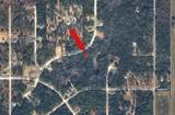 14398 Chimney Swift Road - Photo 4
