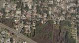  Blossom Avenue - Photo 4
