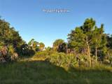 4387 Schneider Street - Photo 3