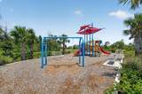 10865 Sun Drop Street - Photo 59