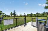10865 Sun Drop Street - Photo 60