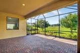 24229 Spartina Drive - Photo 15