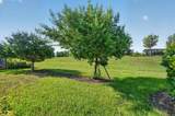 24229 Spartina Drive - Photo 31