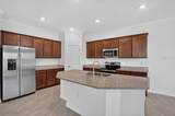 24229 Spartina Drive - Photo 9