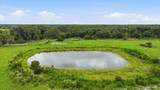 13805 County Road 675 - Photo 32