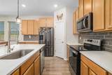13512 Palmera Vista Drive - Photo 10