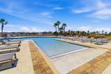 13512 Palmera Vista Drive - Photo 48