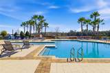 13512 Palmera Vista Drive - Photo 50