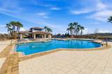 13512 Palmera Vista Drive - Photo 51