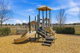 13512 Palmera Vista Drive - Photo 55