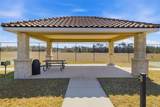 13512 Palmera Vista Drive - Photo 58