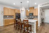 13512 Palmera Vista Drive - Photo 9