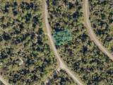 Lot 11 Chinabox Street - Photo 3