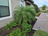 10057 Morning Mist Lane - Photo 3