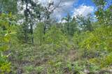 0000 Lady Bug Lane - Photo 11