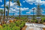 19731 Quisto Street - Photo 68