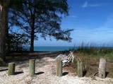 7365 Palm Island Drive - Photo 26