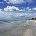 7365 Palm Island Drive - Photo 42