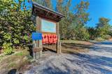 3980 Lemonwood Drive - Photo 64