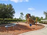 8144 Sternway Road - Photo 41