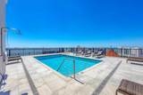 33 Palm Avenue - Photo 50