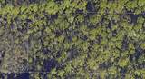 30-2S-20-33308-000-0 Long Leaf Circle - Photo 1