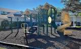 4802 51ST Street - Photo 24