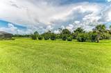 2802 Butterfly Jasmine Trail - Photo 46
