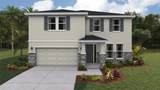 10649 Fern Hollow Run - Photo 1