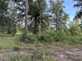  Cr 49 - Photo 15