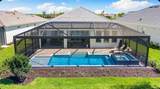 26619 Dove Drive - Photo 17