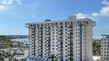 33 Palm Avenue - Photo 48