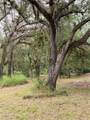 2963 Sw Armadillo Trl - Photo 10