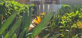 1927 Toucan Way - Photo 22
