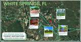TBD Lot 35 Us 41 Highway - Photo 3