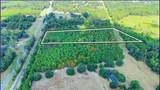 TBD Lot 35 Us 41 Highway - Photo 5