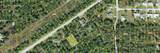 5220 Papaya Drive - Photo 2